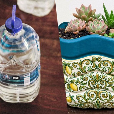 Convierte tus garrafones de agua en macetas: ideal para suculentas