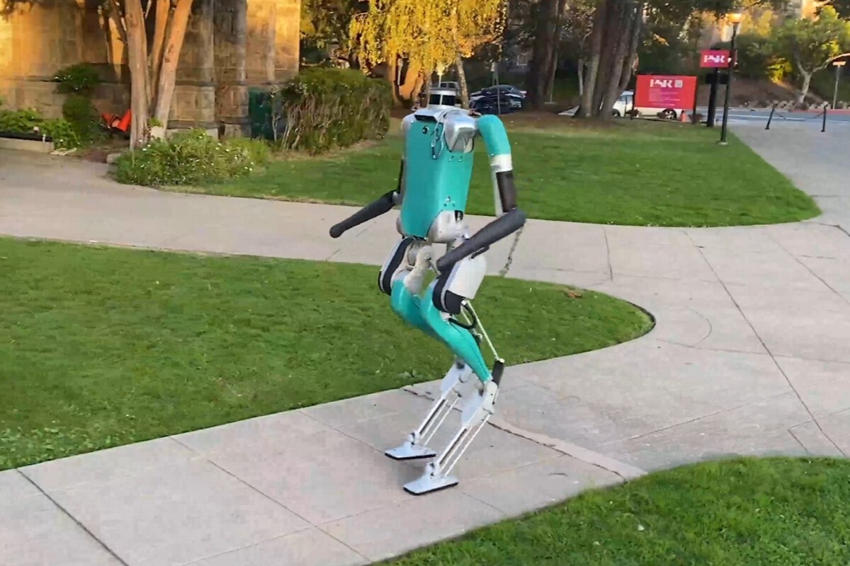 1200_800.jpeg