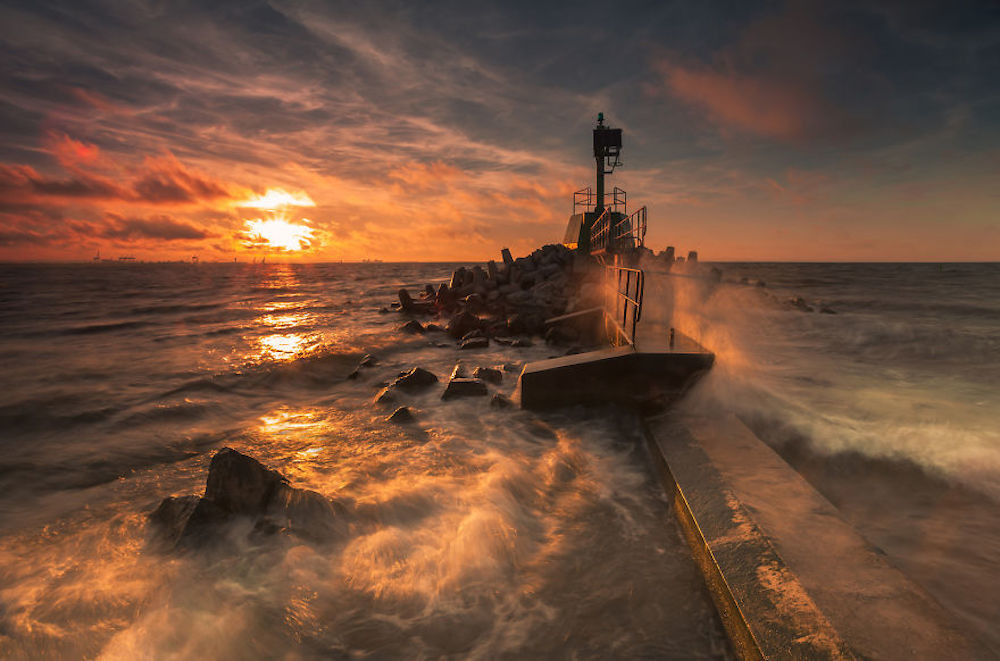 Karol Nienartowicz 10