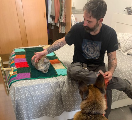 Convivencia gatos con perros (Dana y Llum)