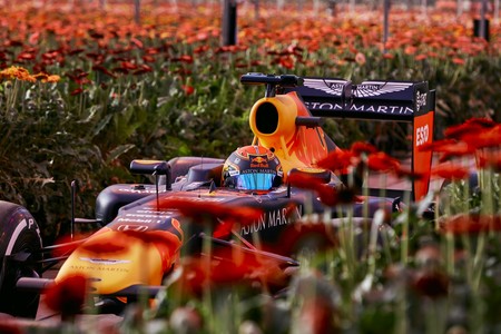 Holanda Red Bull F1 2
