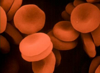 ¿Cómo afecta el donar sangre en un deportista?