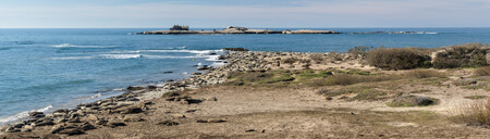Panorama Año Nuevo California