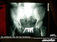 La primera vez de nuestros lectores: Lucas y su viaje a “Los Elefantes”