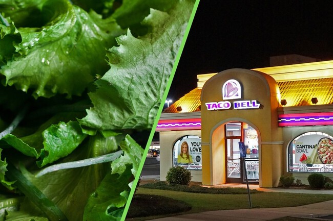 Estados Unidos Taco Bell Diarrea Enfermedades Lechuga Investigacion Xataka Mexico