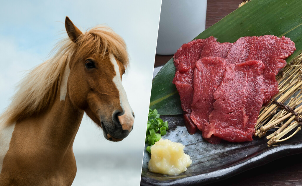 En plena subida de los alimentos, un producto barato está causando polémica en Europa: la carne de caballo 