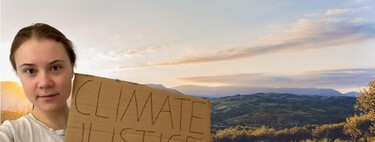 No, España no está arrancando olivos masivamente para poner placas solares. De hecho, hay muchos más olivos que hace 10 años