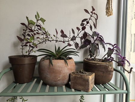 Photo 2025 09 12 12 32 50