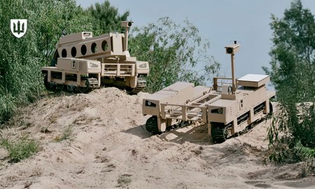 Large P Termit 20jun Ws01 7d2687c093