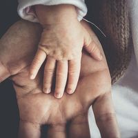 El gran comercio como cliente del pequeño