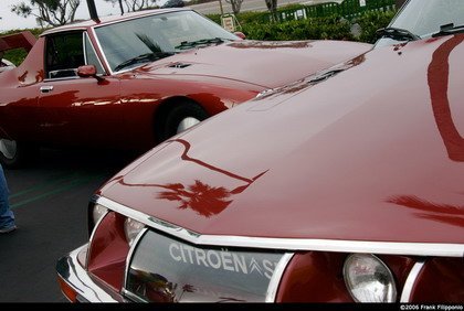 Concentracion Crystal Cove