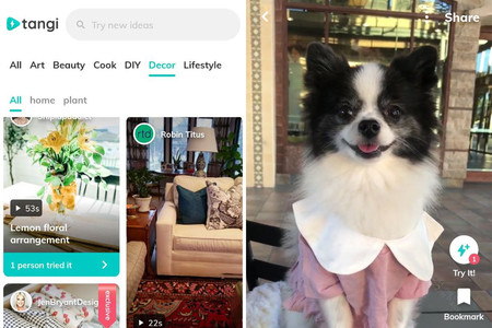 Tangi llega a Android: así es la mezcla de TikTok y Pinterest de Google