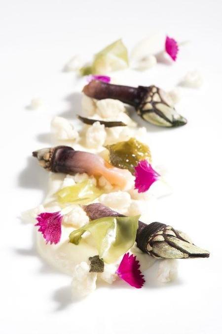 percebes_en_licuado_de_judías,_algas_y_guisantes_el_retiro.jpg