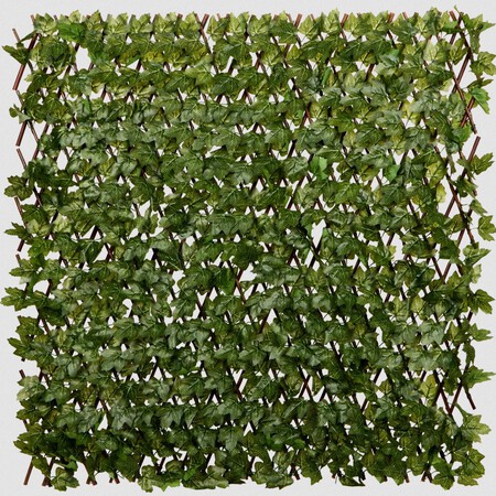 Celosia Ocultacion Hierdra Artificial