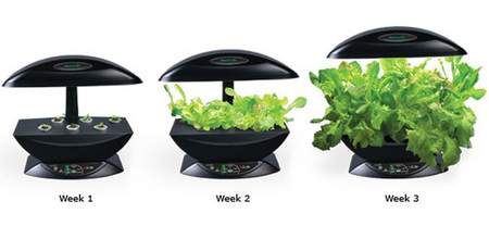 Aerogarden, planta tu propio huerto en casa