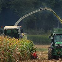 México tiene un nuevo laboratorio para el campo: Bayer quiere producir más maíz con menos agua 