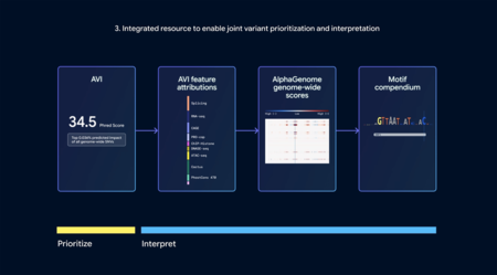 Deepmind 2