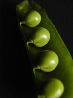 Verduras en la alimentación infantil: guisantes y judías verdes