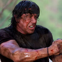 "Hay más que contar de John Rambo". Sylvester Stallone desvela cuál será su papel en la nueva película del personaje