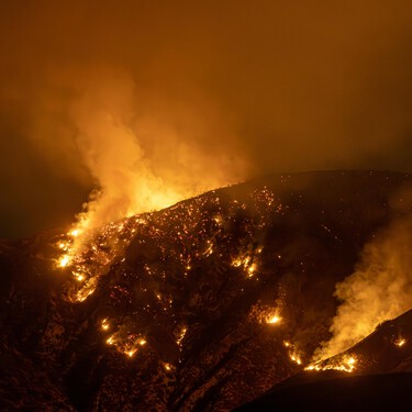 La otra cara de la ola de incendios en España: el avance de la ecoansiedad. Te puede estar afectando aunque no te hayas dado cuenta