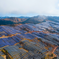China ha estado tan cerca de morir de éxito con sus paneles solares que ha tomado la única decisión lógica: fabricar menos