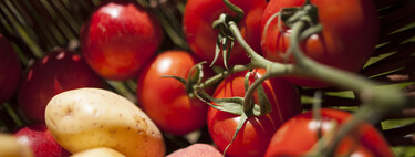 Só temos batata frita com catchup graças à modificação genética feita milênios atrás 