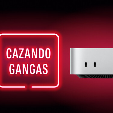 Cazando Gangas
