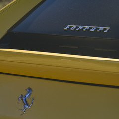 240_240.jpg