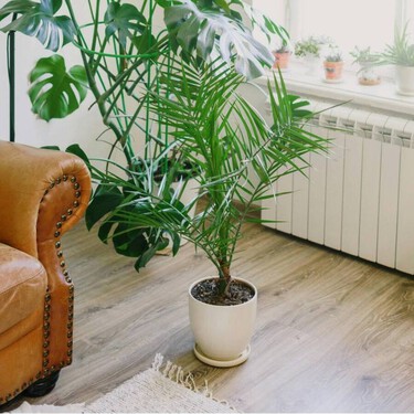 Este invierno encender la calefacción da menos miedo, pero no se sabe por cuánto tiempo estará la energía tan barata 