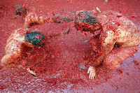 Tomatina 2008: la lluvia roja