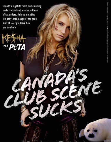 Ke$ha y Peta ¿quién los tiene más cuadrados defendiendo a las focas?