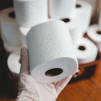 Uma camareira de um hotel na Espanha descobriu da pior maneira possível quanto custam seis rolos de papel-toalha   