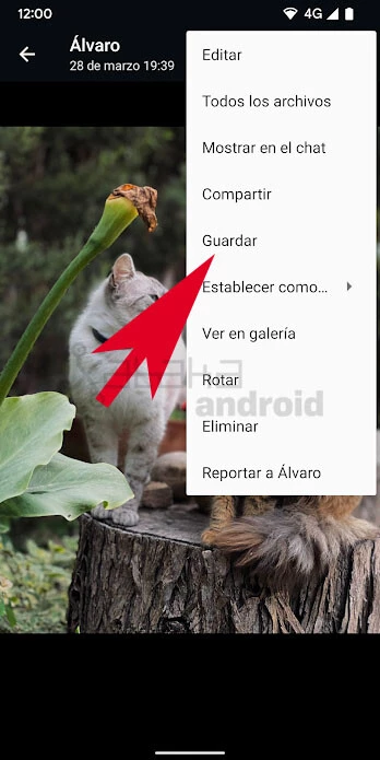 Whatsapp Guardar Google Fotos