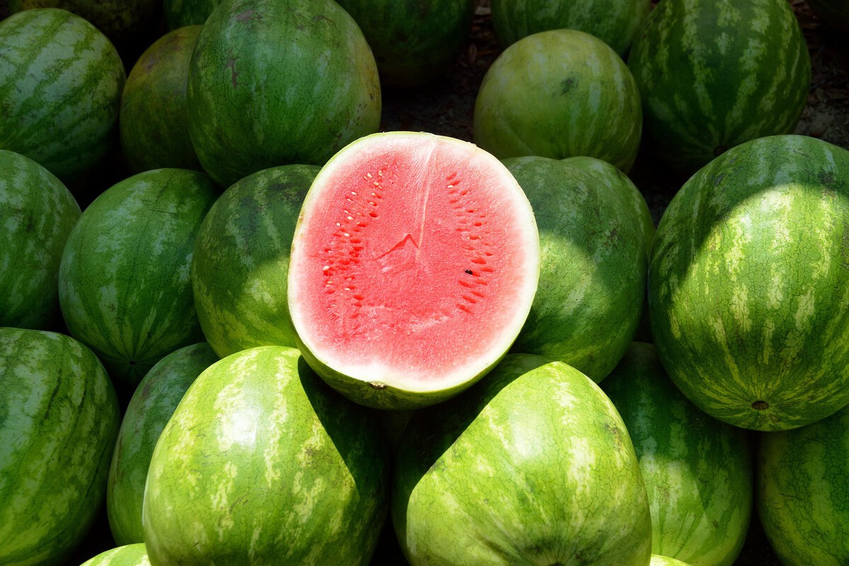 The image shows a group of whole watermelons piled together, all with smooth green rinds featuring lighter green stripes. Among them, one watermelon is cut in half and positioned prominently in the center, revealing its bright red, juicy interior with small black seeds scattered throughout. The contrast between the vibrant red flesh and the green rinds makes the cut watermelon stand out clearly against the surrounding whole fruits.