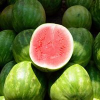 La falta de demanda también afecta a las frutas más populares del verano: el precio del melón y de la sandía sigue cayendo