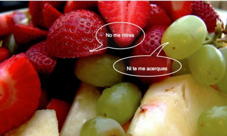 ¿Existen alimentos incompatibles?