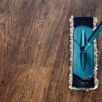 Regala tiempo libre por el día de los Reyes Magos con este aspirador de Rowenta rebajado al 47% en PcComponentes