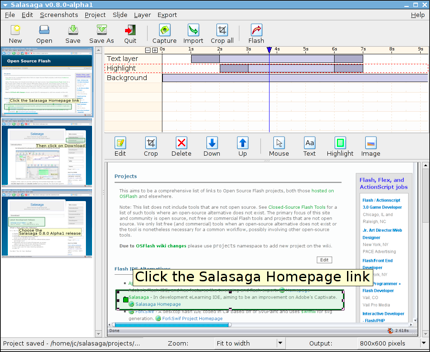 Salasaga