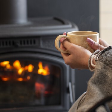 Qué debes tener en cuenta para instalar un estufa de leña en casa   