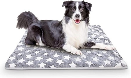 Nobleza Cama Perros