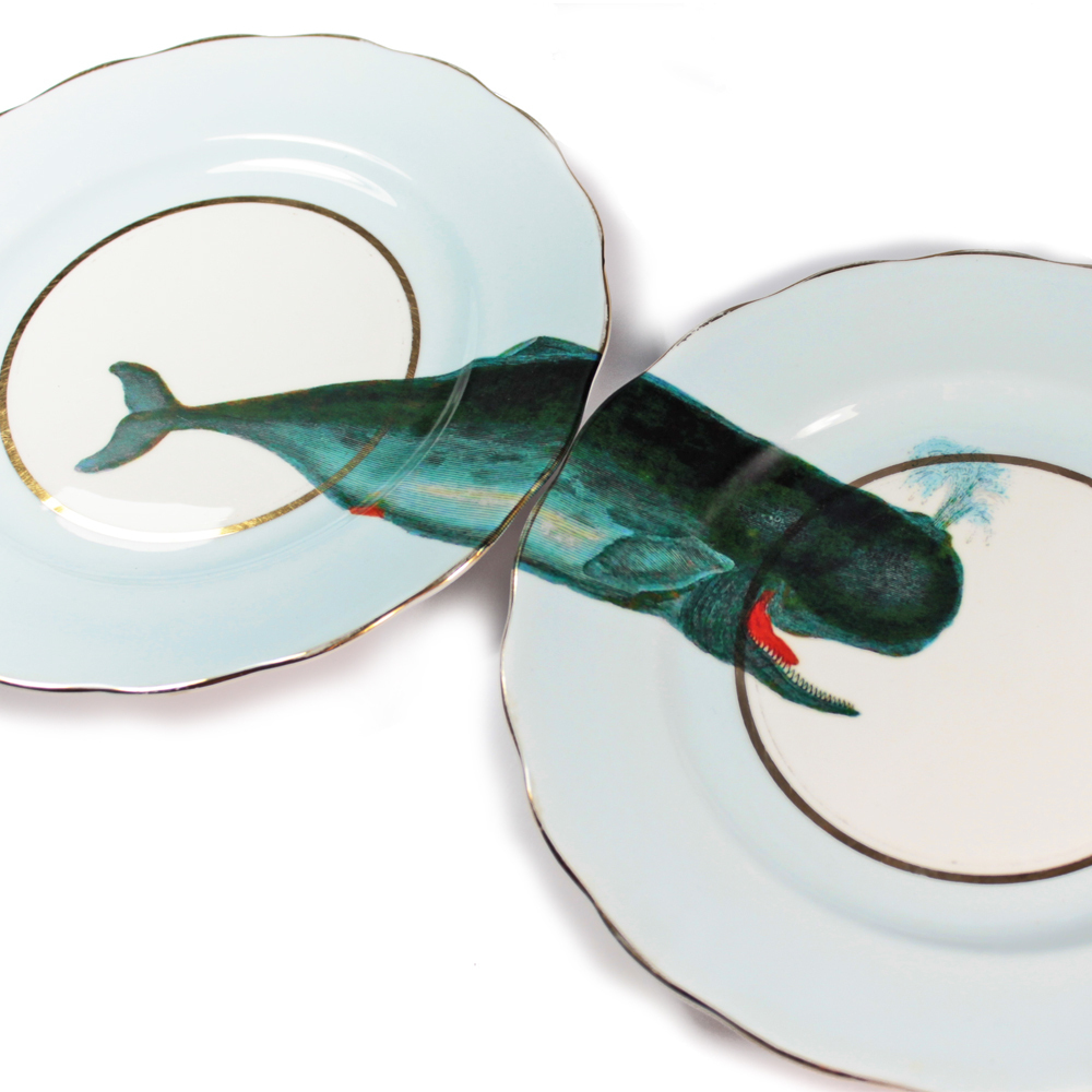 Foto de Yvonne Ellen (12/28)