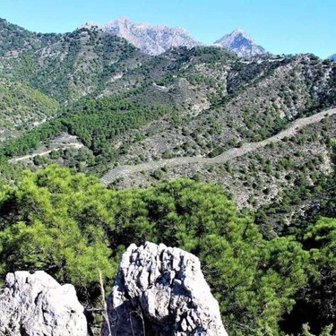 La ruta para disfrutar del otoño andaluz en su esplendor: entre molinos, ríos y pueblos que parecen suspendidos en el tiempo
