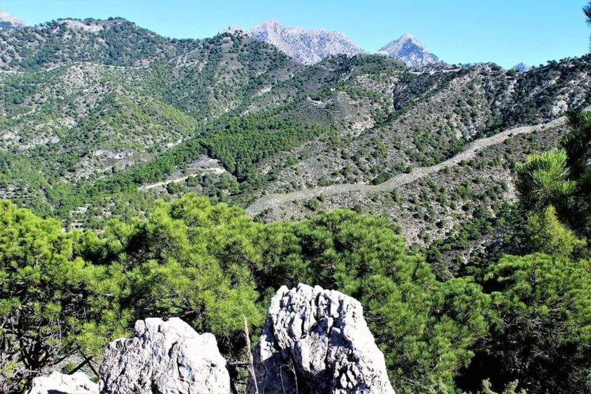 La ruta de senderismo más bonita de Málaga: pasarelas, molinos y un calzadas romanas entre pueblos con encanto