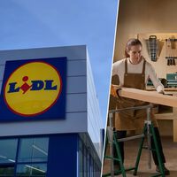 Este viernes llega a Lidl el set de destornilladores que todo manitas necesita en casa por menos de 5 euros