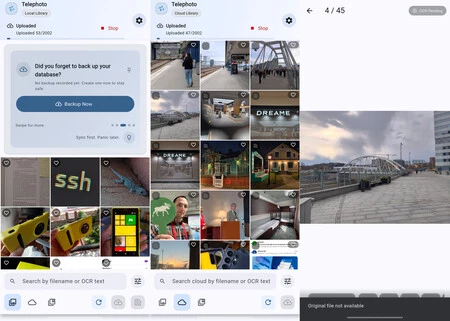 Copia local, copia en la nube y visor de foto
