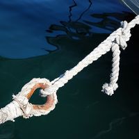 El due diligence cutural