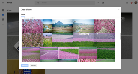 Cuál es la aplicación que mejor te organiza las fotos en el móvil