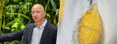 Fibras fabricadas por bactérias e algodão que já nasce colorido: Jeff Bezos investe US$ 34 milhões em pesquisas para desenvolver tecidos sustentáveis 