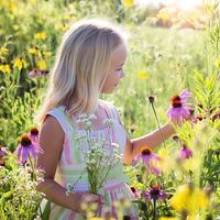 Crecer en contacto con la naturaleza es fundamental para la salud, desarrollo y aprendizaje del niño: actividades para fomentarlo