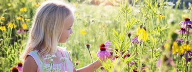 Crecer en contacto con la naturaleza es fundamental para la salud, desarrollo y aprendizaje del niño: actividades para fomentarlo